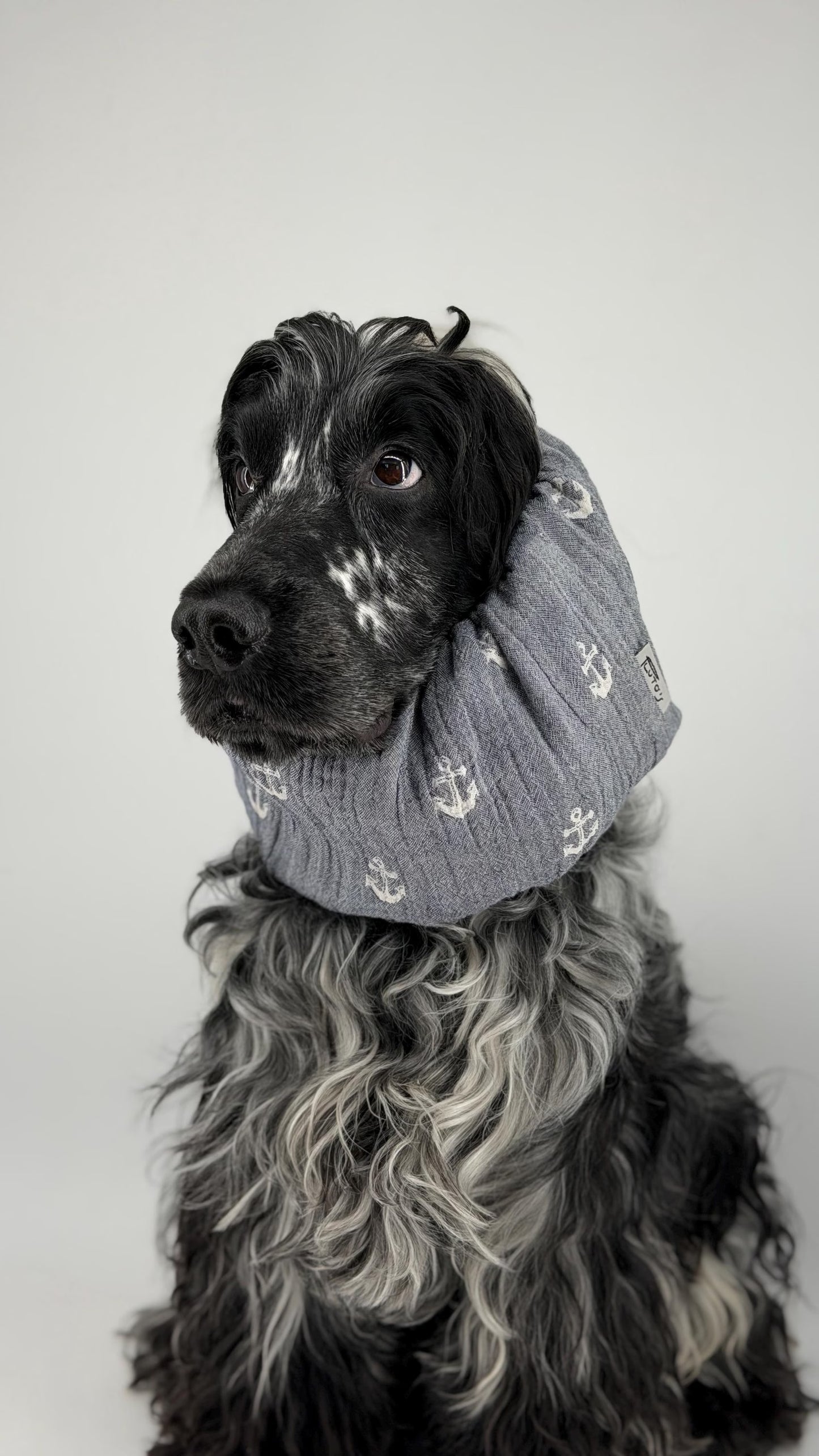 Snood gris avec encre