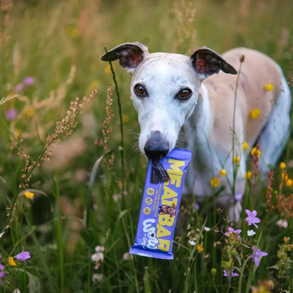 Barres protéinées au cerf et à l'agneau