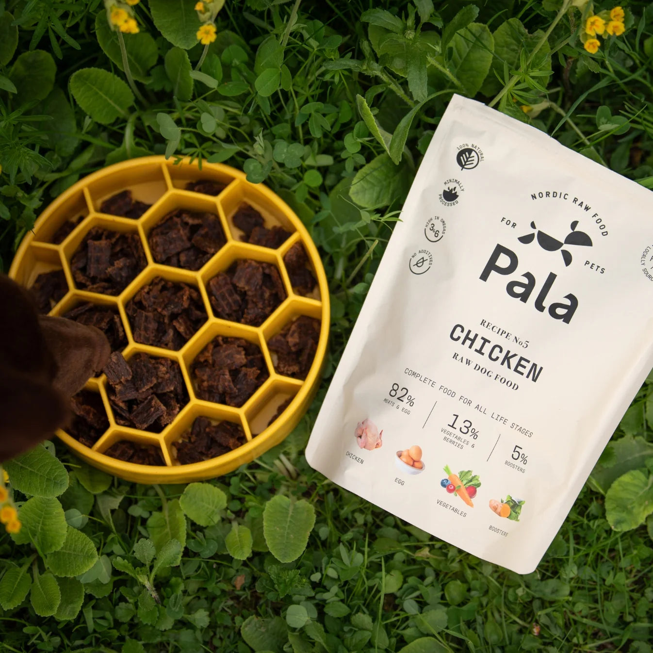 Friandises au poulet