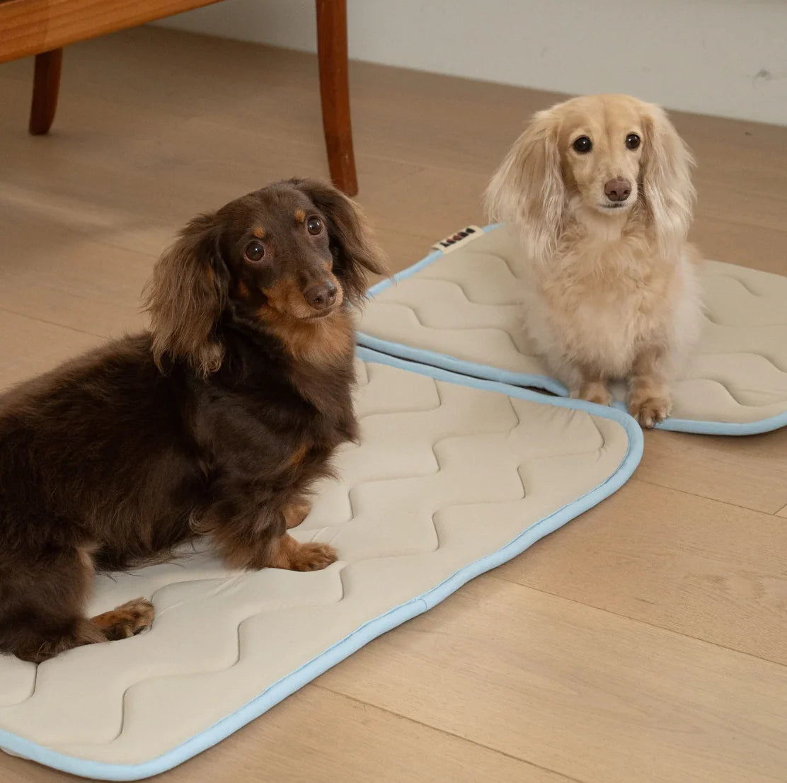 Tapis rafraîchissant à mémoire de forme