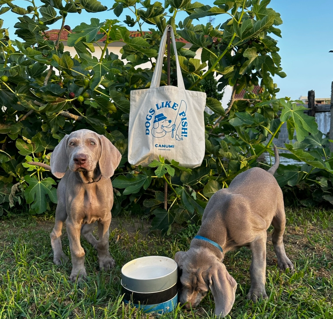 Tote bag / Sac de plage chien - Frankie et Suzie