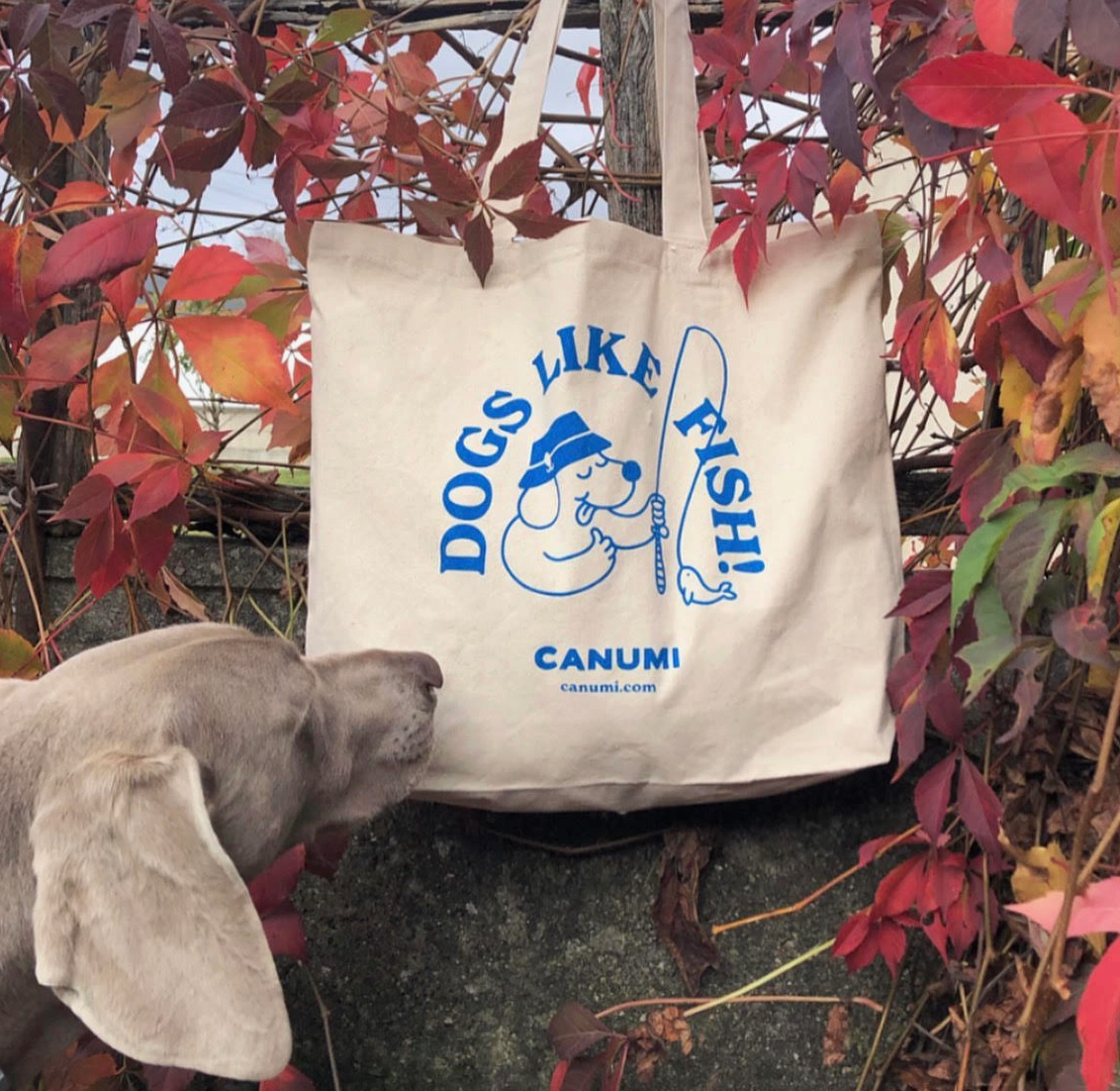 Tote bag / Sac de plage chien - Frankie et Suzie
