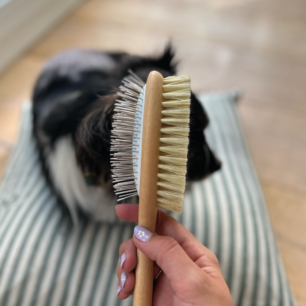 Brosse double face à poils longs et mi-longs