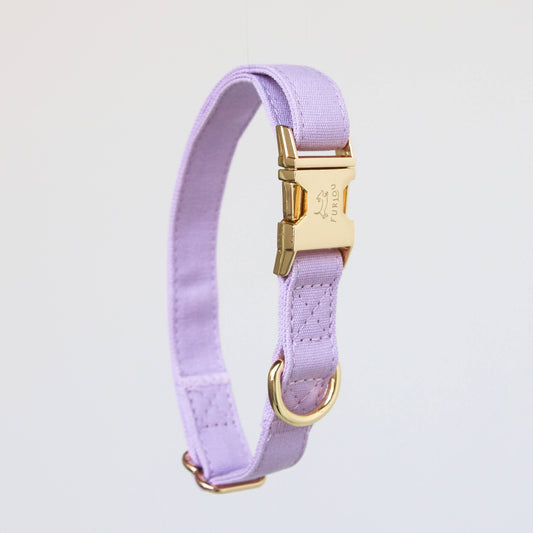 Collier Lavender