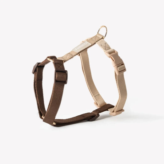 Harnais marron et beige