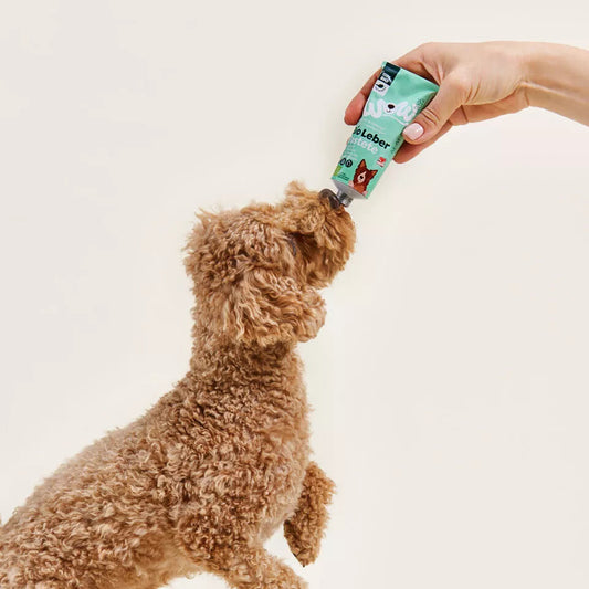 Pâtée de foie de poulet