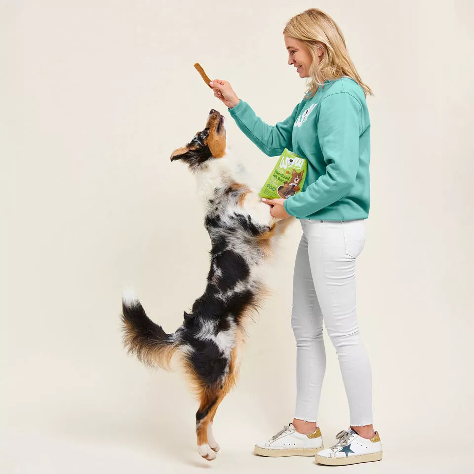 Barre de friandises boeuf et citrouille