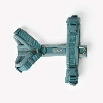 Harnais bleu en velours