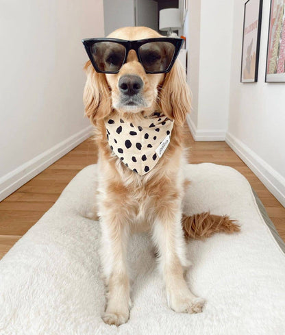 Bandana Good Boy