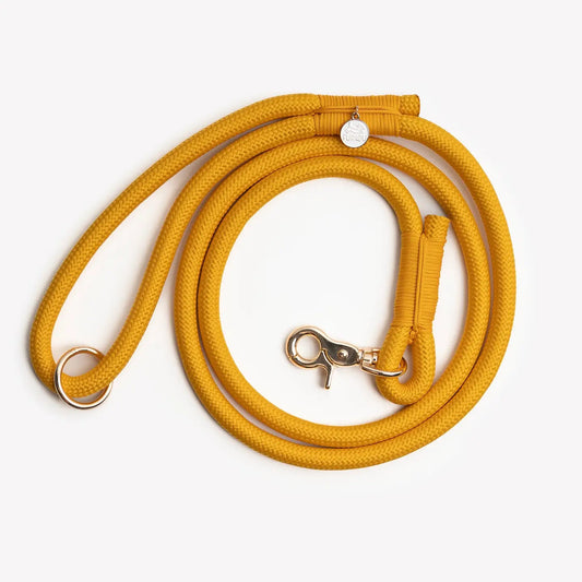 Laisse simple jaune