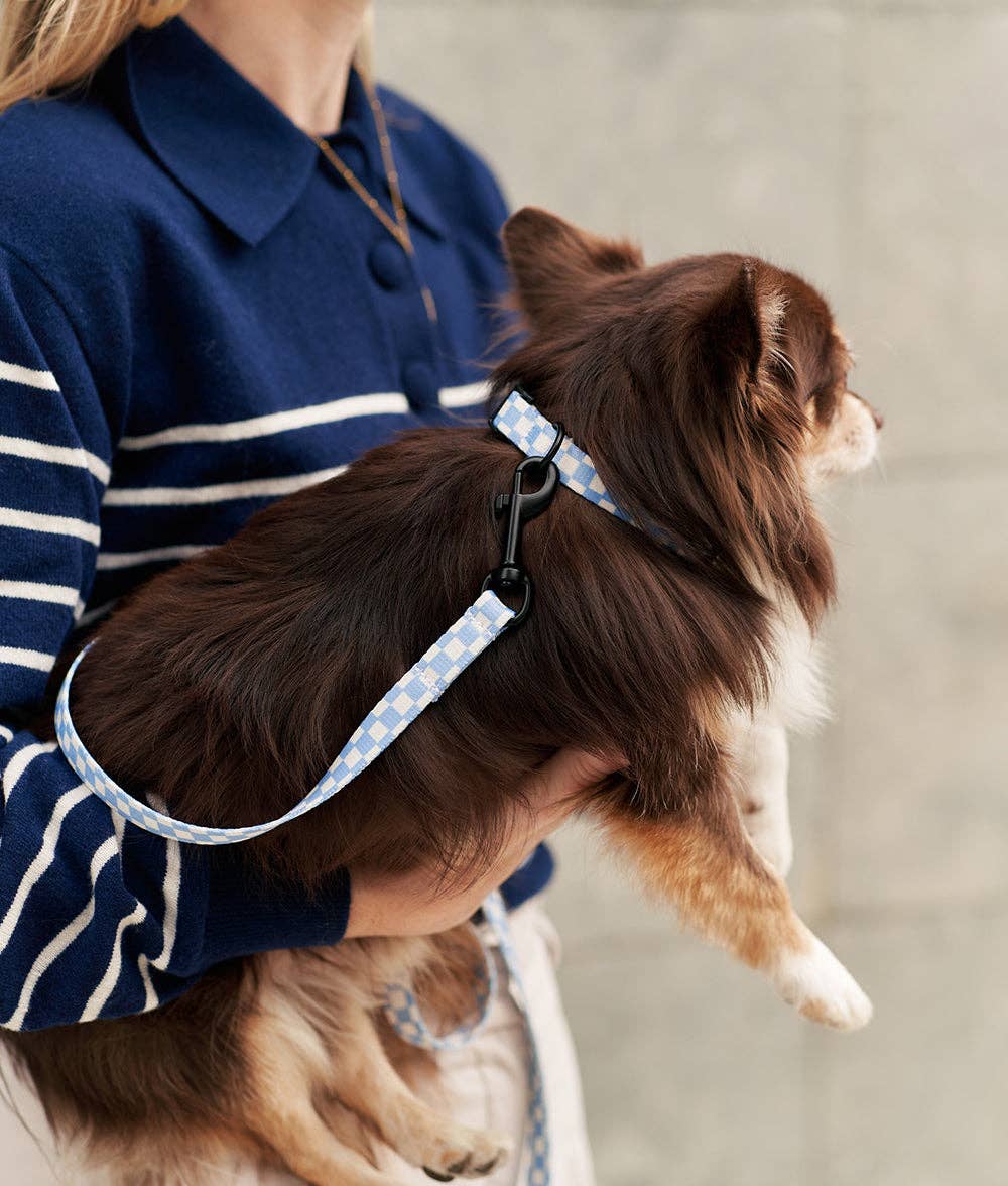 Collier en vichy bleu