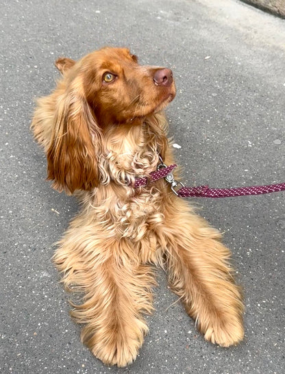 Collier cherry à pois rose