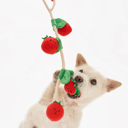 Jouet corde tomate