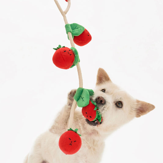 Jouet corde tomate