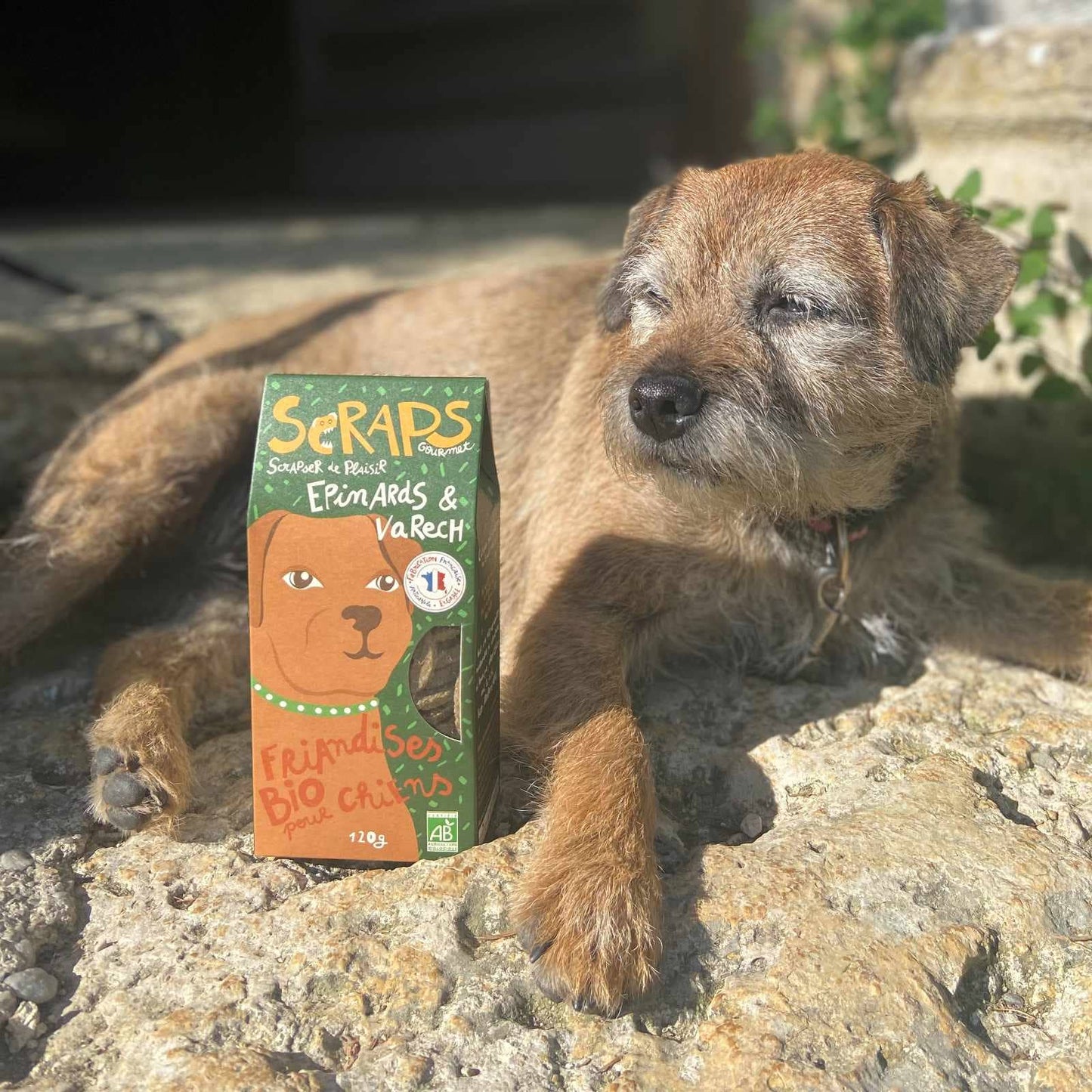 Biscuits épinard et varech