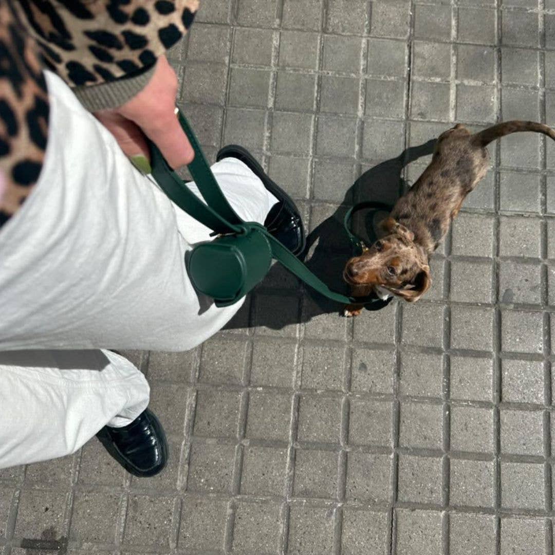 Distributeur de sacs à déjections vert bouteille