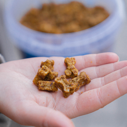 Snacks d'entraînement boeuf