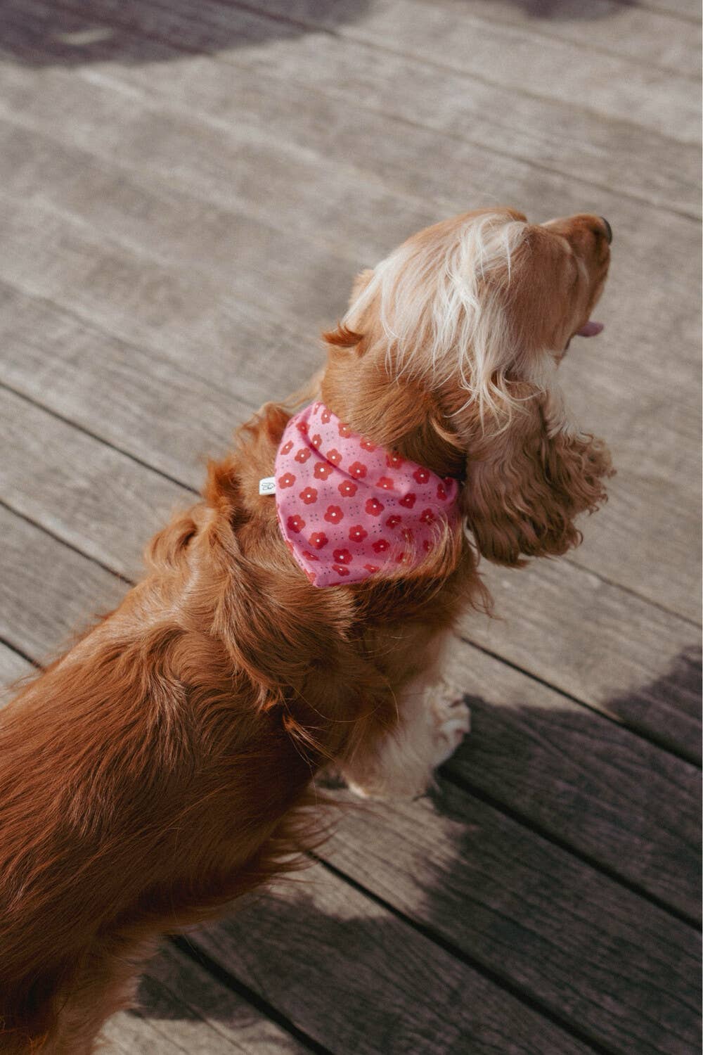 Bandana Roseline à glisser