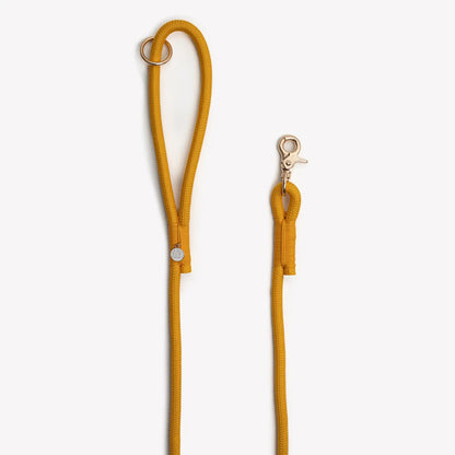 Laisse simple jaune