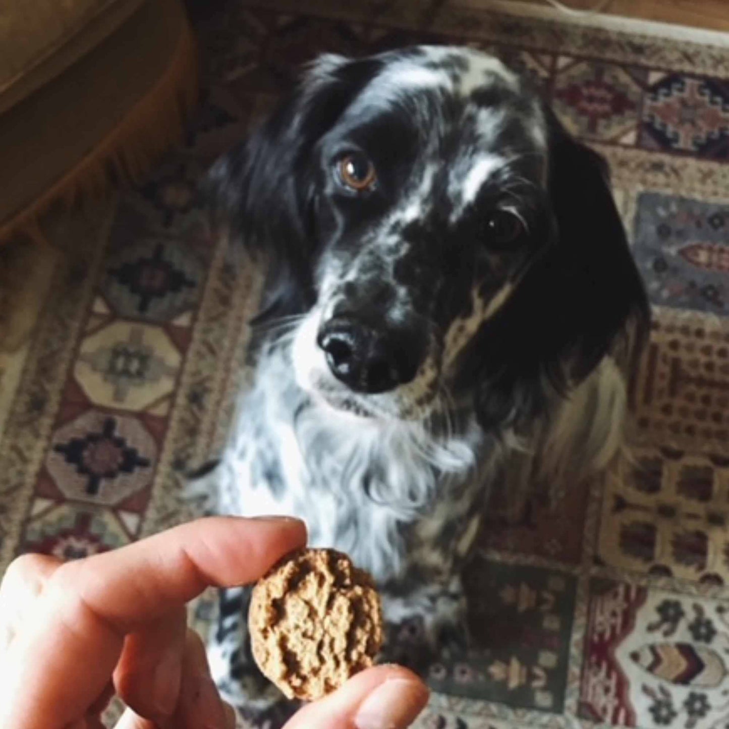 Biscuits pruneaux et miel