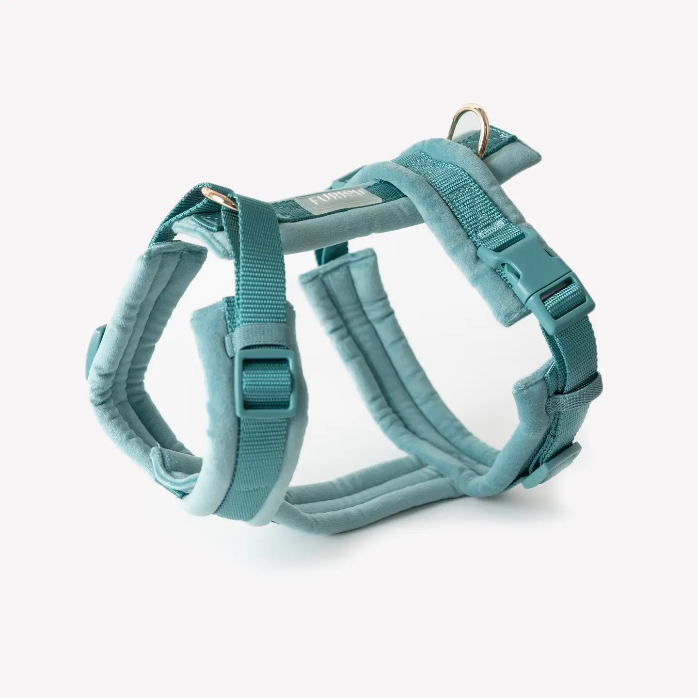 Harnais bleu en velours
