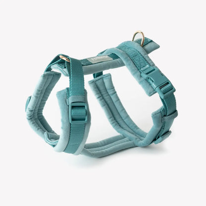 Harnais bleu en velours