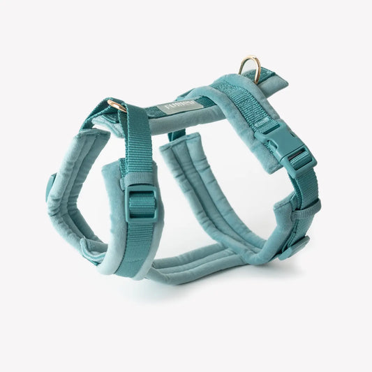 Harnais bleu en velours