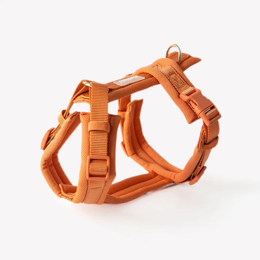 Harnais comfort terracotta