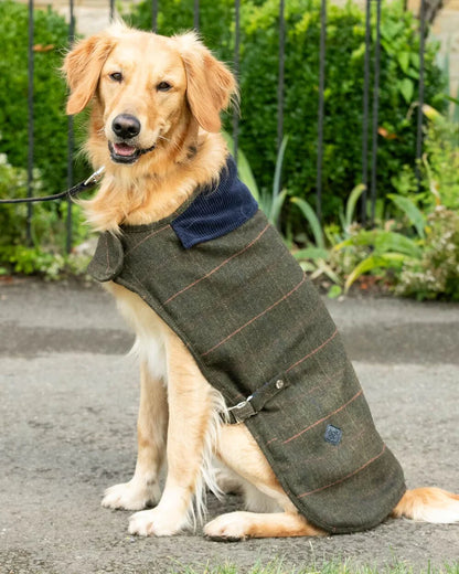 Manteau à carreaux vert foncé Hackett