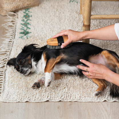 Brosse de massage