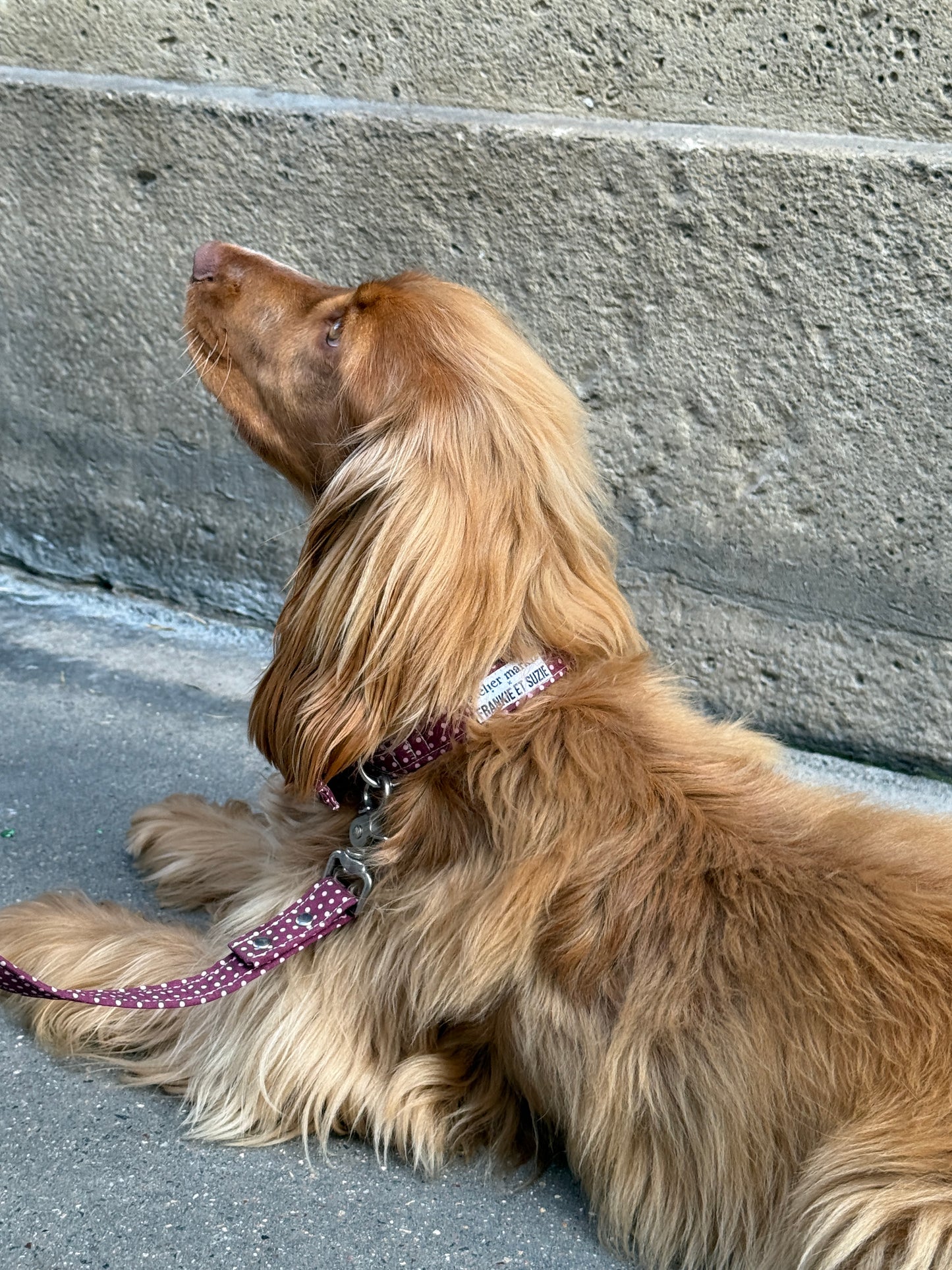 Collier cherry à pois rose