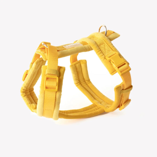 Harnais jaune en velours