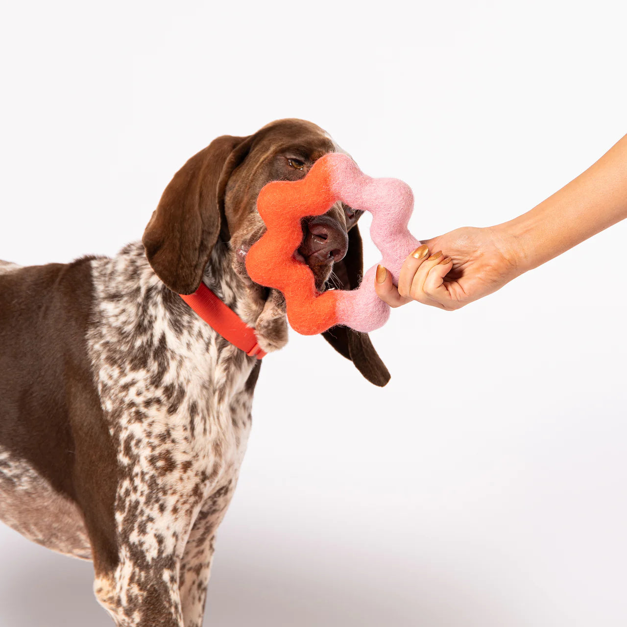 Jouet wiggle en feutre