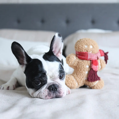 Pain d'épice de Noel