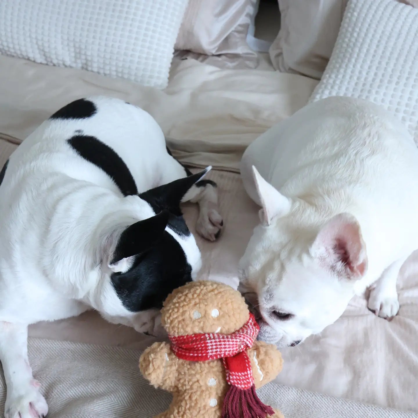 Pain d'épice de Noel