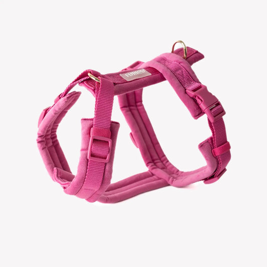 Harnais magenta en velours