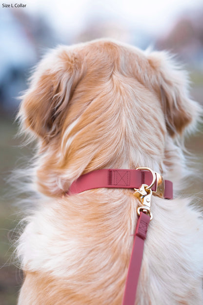 Collier imperméable bordeaux
