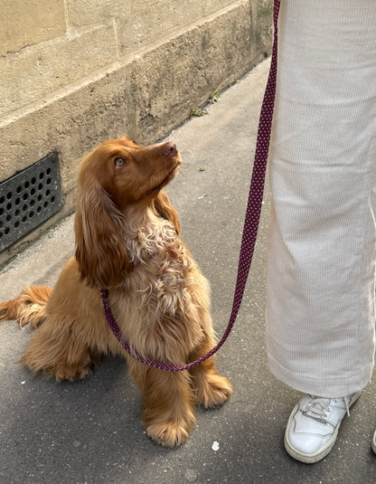 Laisse cherry bordeaux