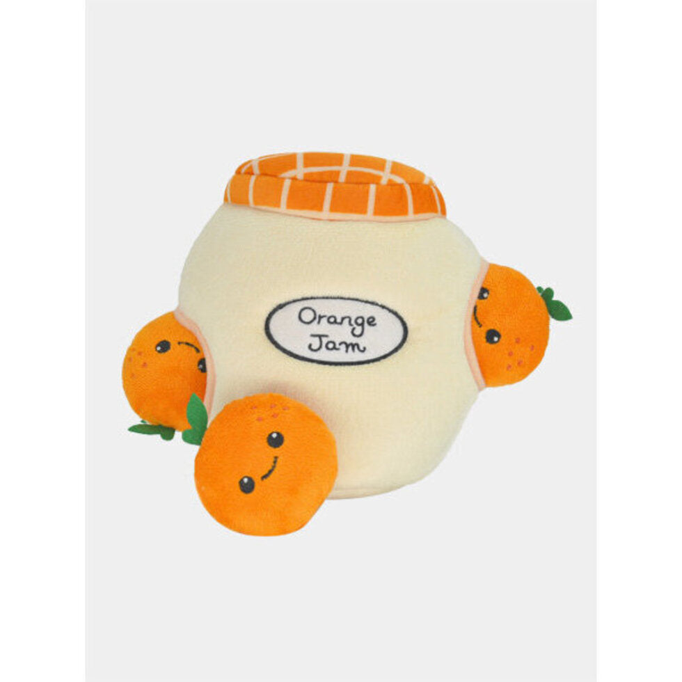 Bouteille d'orange de fouille
