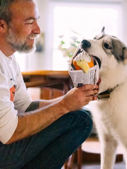 Jouet de fouille Fish & Chips