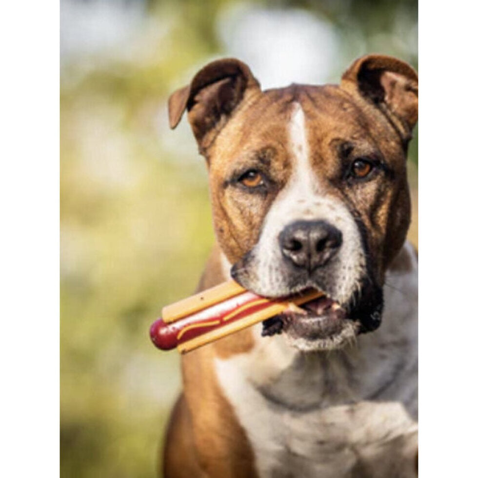 Hot dog ultra résistant