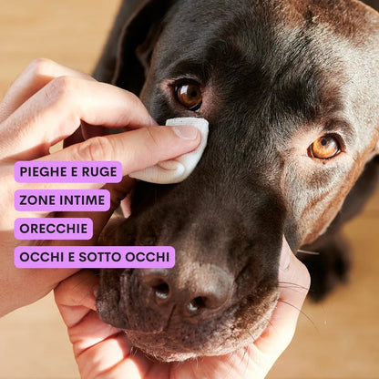 Lait nettoyant oreilles et yeux - Frankie et Suzie