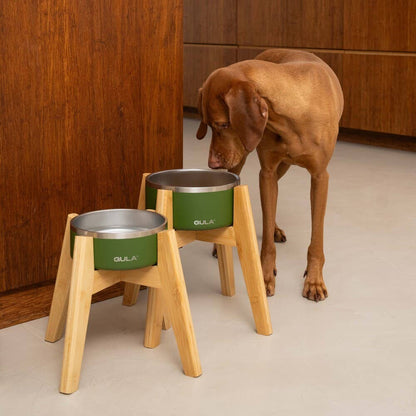 Gamelle pour chien Olive