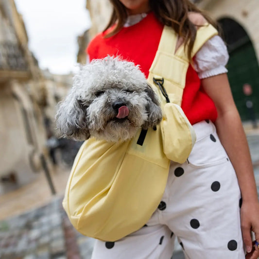 Sac en bandoulière - Frankie et Suzie