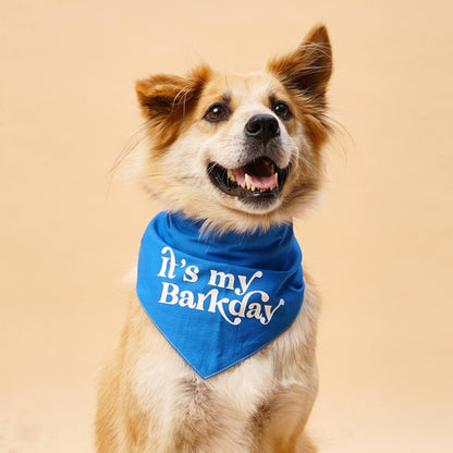 Bandana Barkday Green