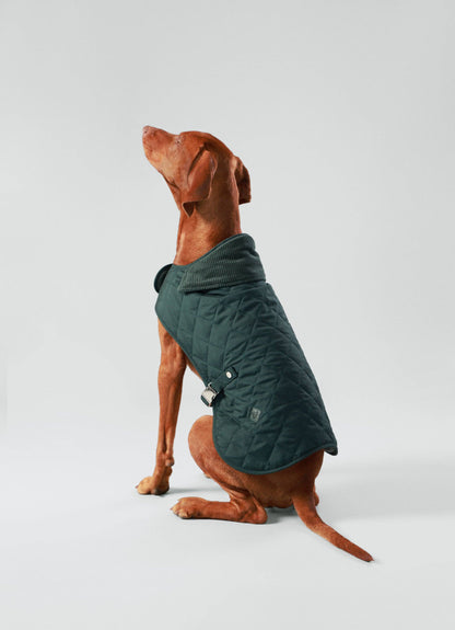 Veste matelassée pour chien Hackett x Hugo Hudson, vert forêt: M40