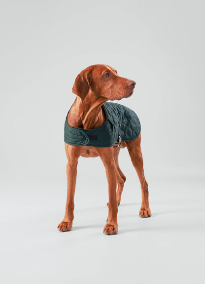 Veste matelassée pour chien Hackett x Hugo Hudson, vert forêt: M40