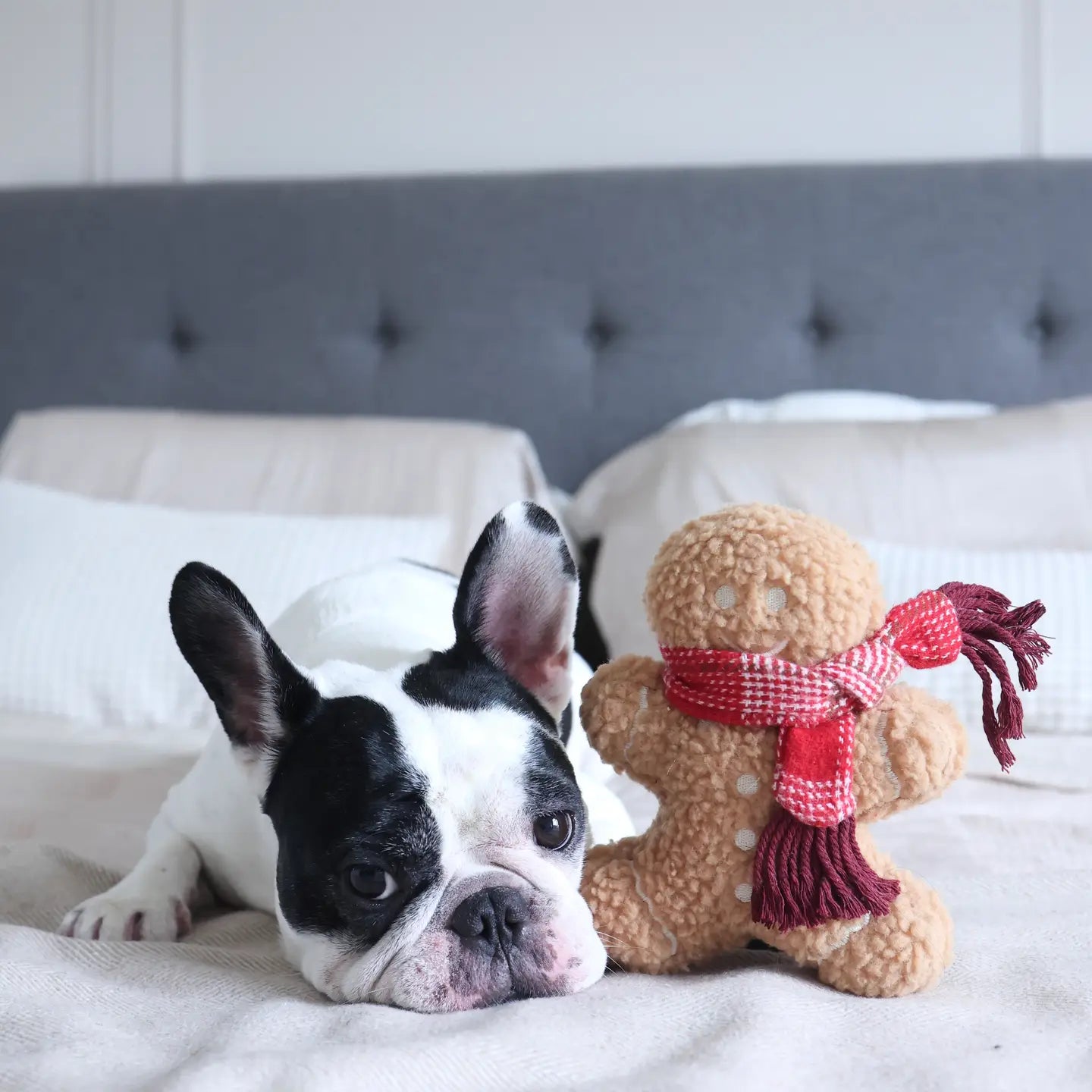 Pain d'épice de Noel