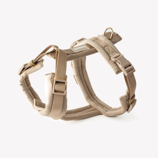 Harnais sable en velours