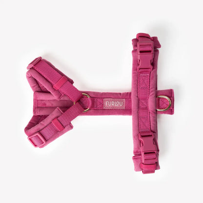 Harnais magenta en velours